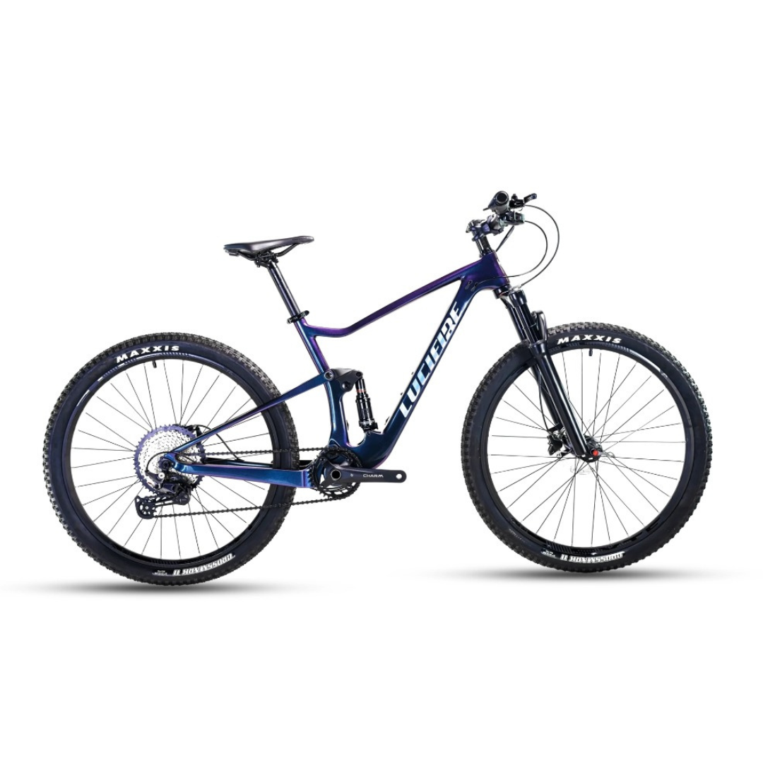 Premium carbon fiber bicycle